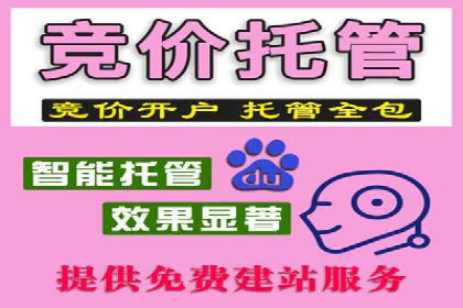 SEM竞价代运营公司案例对比分析